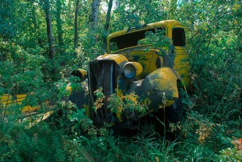 Yellow Cab in the trees and bushes