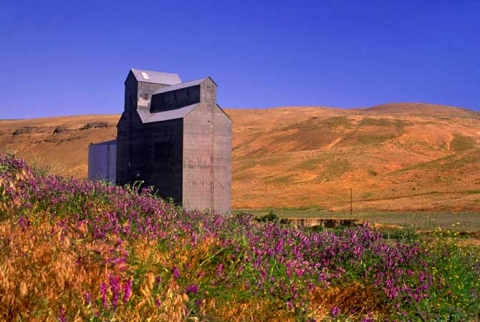 Wooden Elevator at Delaney, Washington. "Prairie Drama"