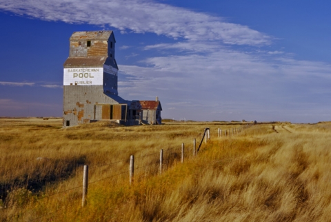 Wooden Grain Elevator at Fusilier, Saskatchewan, "Prairie Gold"