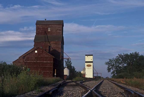 Image of wooden grain elevators at Lemberg, Saskatchewan