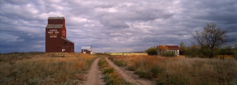 Wooden Grain Elevator at Esther, Alberta, "Brushed with Autumn"