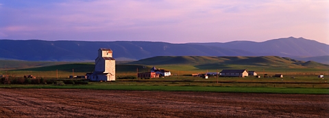 Buffalo, Montana