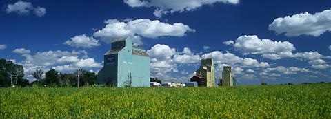 Panoramic photograph of wooden grain elevators at Milk River, Alberta