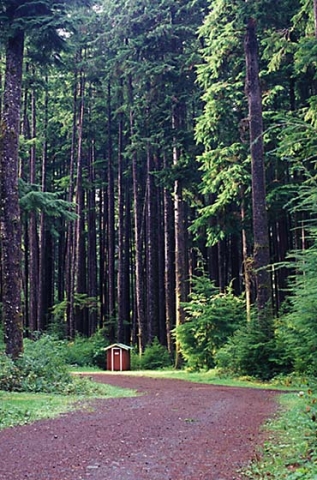 Mens Room in the trees