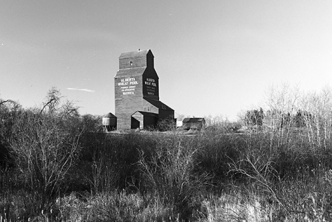 Image of wooden grain elevator at Warwick, Alberta