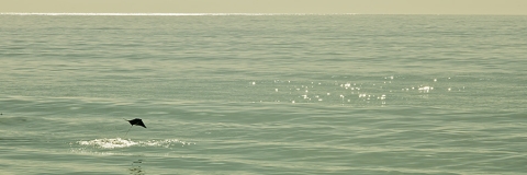 Waves of San Jose del Cabo, Mexico. entitled  "Casting a Shadow"