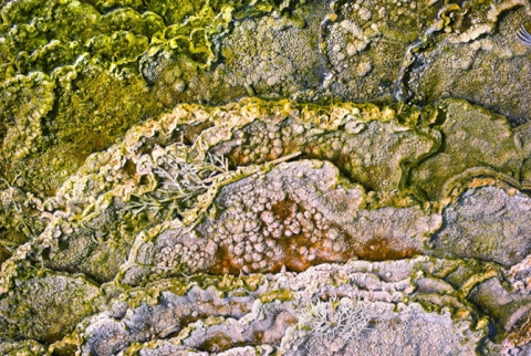 Sulphur pools in Yellowstone National Park "Mortal Exhibition"