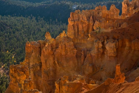 Bryce Canyon Utah, entitled "Canyon Light"