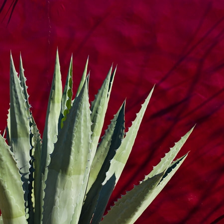 Baja Mexico
