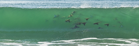 Waves of San Jose del Cabo, Mexico  "Nature's Aquarium"