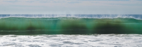 Wave rising up to show its colours