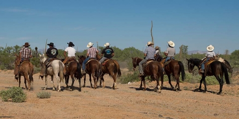 Trail ride in the desert