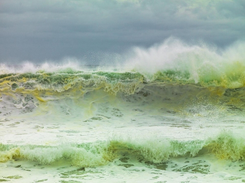 Ocean waves, stormy seascapes, sandy beaches, blues and greens , foam and wave spray,  rolling waves, see through waves, black storm clouds, hurricane Baja waves, Mexican seascapes.