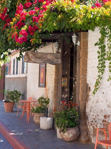 Entrance to a shady courtyard.