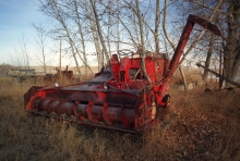 Combine in the fall taken over by poplars. 