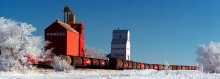 Photos of elevators at Tompkins, SK