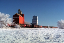 Wooden grain elevators at Tompkins, Saskatchewan. "The Necklace"