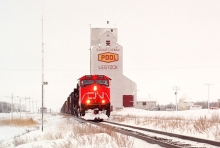 Pool elevator at Lestock, Saskatchewan