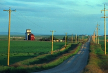 Wooden grain elevator at Raley, Alberta