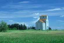 Photograph of wooden grain elevator at Coulter, Manitoba