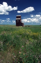 Image of Bents Elevator, SK. "Natures Canvas"