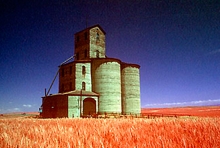 Earliest concrete grain terminal at Lee, Washington