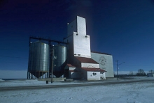 Image of wooden grain elevator at Lang, Saskatchewan