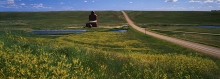 Panoramic photo of wooden grain elevator at McNab, Alberta