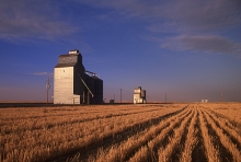 Image of elevators at East Danekas, Washington