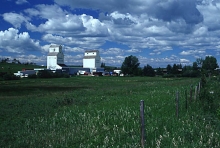 Photograph of wooden elevators at Dewinton, AB