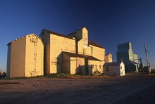 Wooden grain elevators at Magrath, Alberta 