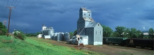 Photograph of wooden grain elevators at Poplar, Montana