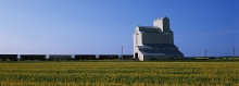 Image of wooden grain elevator at Mariapolis, Manitoba