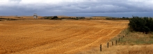 Farm elevator east of Altario, Alberta