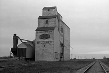 Image of wooden elevator at Broderick, SK