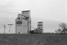 Image of wooden elevators at Delisle, SK