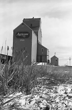 Grain elevator at Irma, Alberta