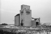 Wooden grain elevator at Scott, Saskatchewan