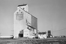 Wooden grain elevators at Yorkton, Saskatchewan