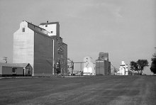 Wooden elevators at Carnduff, Saskatchewan