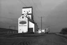 Wooden grain elevator at Willow Bunch, Saskatchewan