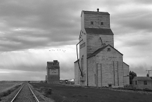 Photograph of wooden elevator at Battrum, SK