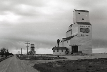 Images of wooden grain elevators at Success, Saskatchewan