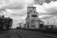 Wooden elevator at Craik, Saskatchewan