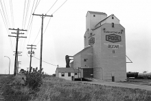 Photograph of wooden elevator at Biggar, SK