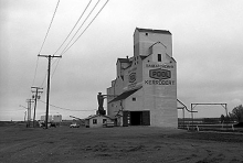 Wooden grain elevator at Kerrobert, Saskatchewan