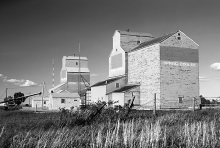 Image of wooden grain elevators at Spring Coulee, Alberta