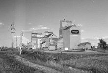 Wooden grain elevators at Magrath, Alberta 