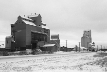 Wooden grain elevators at Nampa, Alberta