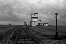 photograph of wooden grain elevators at Bromhead, Saskatchewan